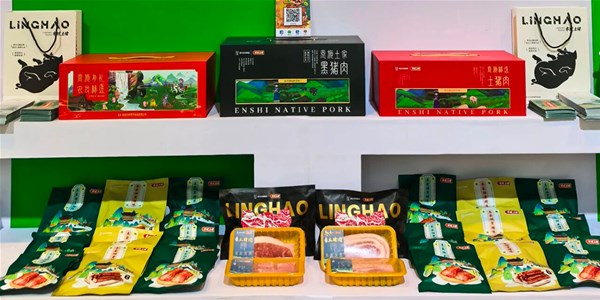 湖北日報|兼具實(shí)力與顏值 “楚小田”、零號土豬圈粉天津衛(wèi)