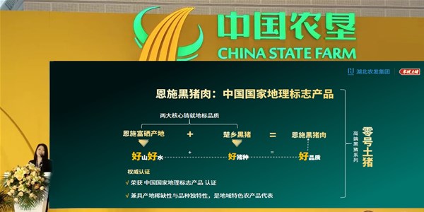 湖北日報|秭歸“七橙”、耐煮青菜、不吐刺的武昌魚……一桌“湖北菜” 添香農(nóng)交會