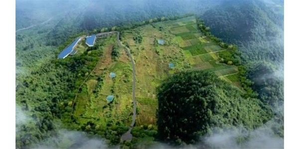 年豬示范養(yǎng)殖基地正式投欄，將帶動(dòng)來(lái)鳳縣2個(gè)億生豬產(chǎn)值