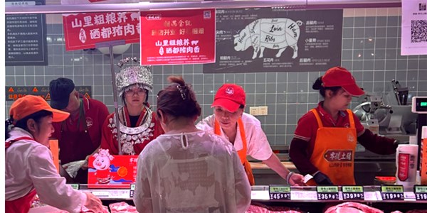 【零號(hào)土豬 相遇金凱 】