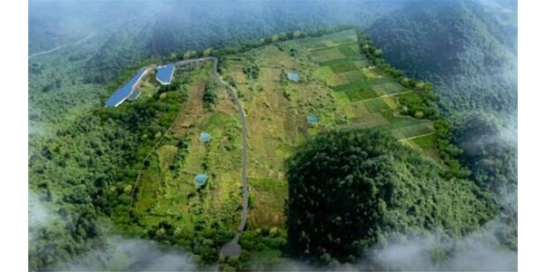 年豬示范養(yǎng)殖基地正式投欄，將帶動(dòng)來鳳縣2個(gè)億生豬產(chǎn)值